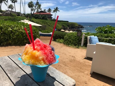 Hypothermias Coconut Flavor Syrup Concentrate For Shaved Ice & Snow Cones - Unsweetened