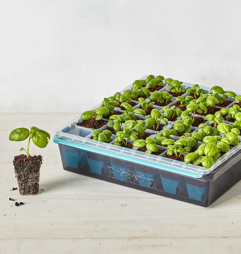 Vassoio Avviamento Semi Riutilizzabile 36 Cellule Kit Coltivazione Indoor Germinazione - Foto 6 di 11