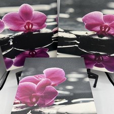 Flowers Wall Art Canvas Pictures Purple flower, Black  White12"X 16" X 3 Panels