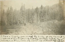 Postcard RPPC 1908 Etna Mills, California Siskiyou Forest Scene 24-7250