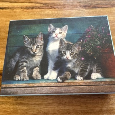 Crown Point Graphics Tabby Cat Kittens Blank Note Cards Box 11 Cards