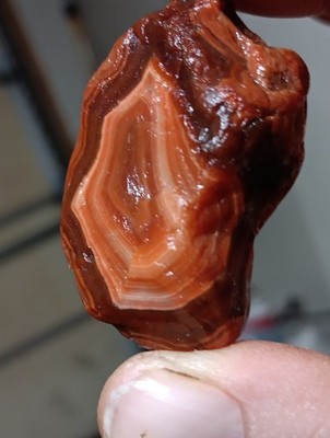 Lake Superior Agate, Museum Quality*Rare Colorations*