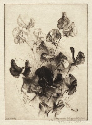 Smillie Sweet Peas Fine Art Poster Vintage Botanical Print Home Decor