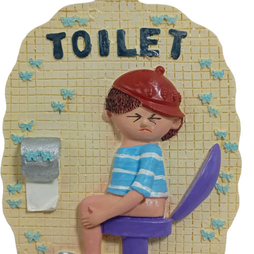 Panneau de toilette drôle de porte blague humour dessin animé pour hommes signalisation unisexe décoration hommes - Photo 1 sur 19