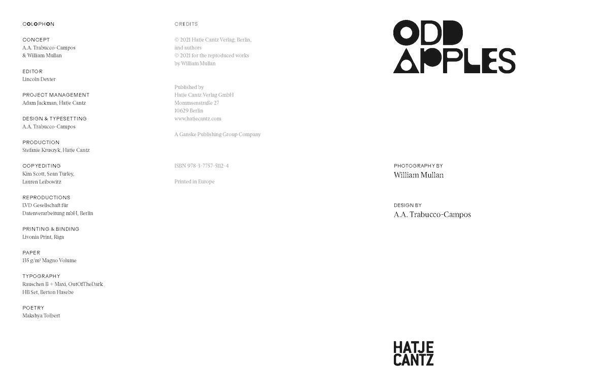 Thumbnail - Odd Apples | William/apples, Odd Mullan | Buch | 128 S. | Englisch |