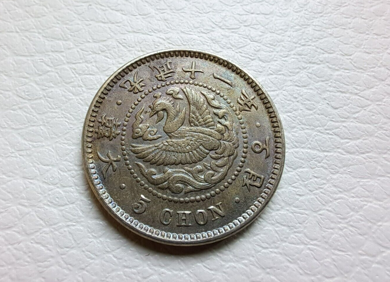 Foto 2 di 6