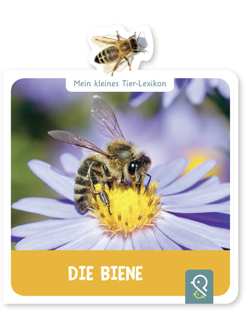 Thumbnail - Hannah Kastenhuber Mein Kleines Tier-lexikon - Die Biene 9783946360117