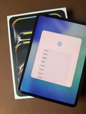 Ipad Pro 11 Zoll M5 2025 12 GB 256 GB Garantie Mai 2027 neuwertig 4 Ladezyklen