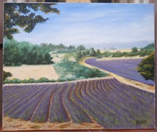 tableau d'Anne-Marie Medori: champs de lavande, Haute Provence