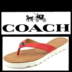 coach shelly flip flops