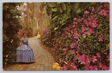 Cypress Gardens Flowers Winding Path Women In Dresses Florida Postcard