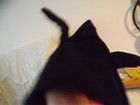 Bild 5 von 8