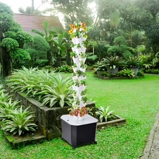 Hydroponic Growing System 50-Pod for Indoor Herbs and Vegetables