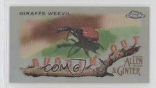 2020 Topps Allen & Ginter Chrome Mini Buggin' Out! Giraffe Weevil #MBOC-14 4pn
