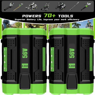 56V 2.5Ah Lithium-Ion Battery Compatible with All Power 56V EGO Power+Tools
