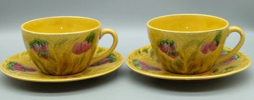 Vintage Sarreguemines Majolica Set of 2 Cups & Saucers