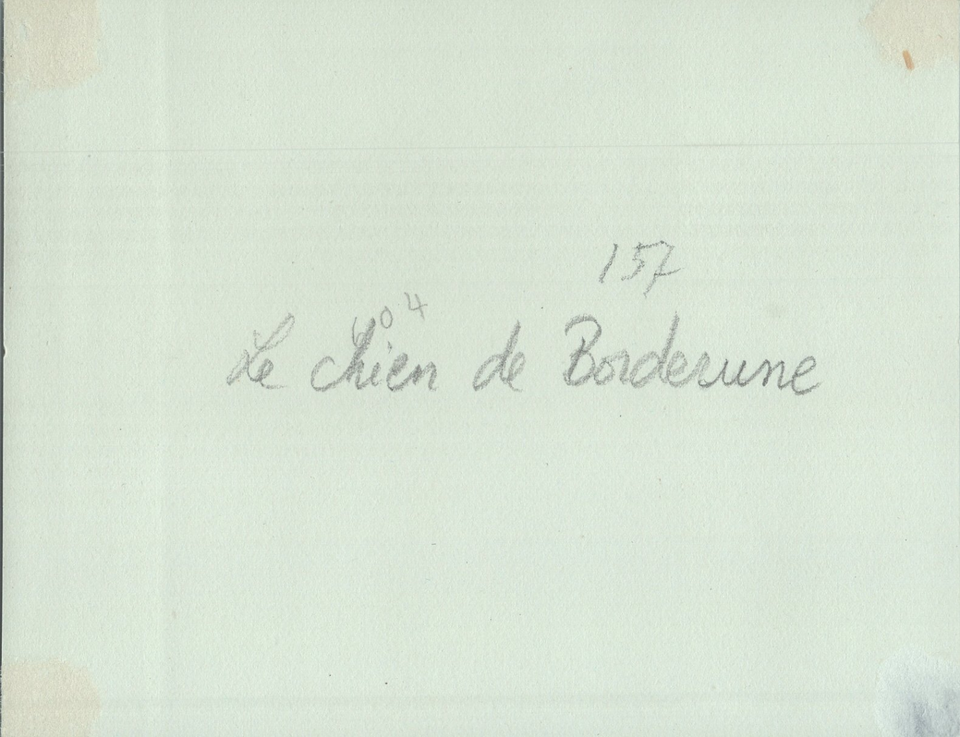 Tirage Albuminé Vintage France, Vannes, Scène De Cavalcade Circa 1895 - Format 7,5x11 Cm - Original