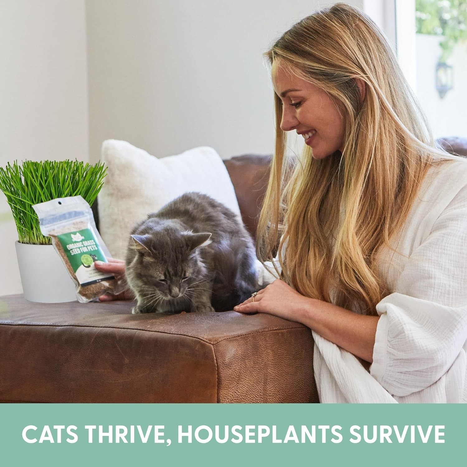 100% Organic Cat Grass Seeds - Cat Grass for Indoor Cats - (Non GMO) 16 oz