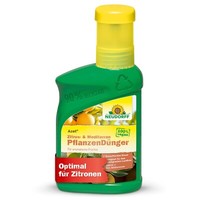 Neudorff Azet Zitrus- & MediterranpflanzendüNger FlüSsig 250 Ml ZitrusdüNger