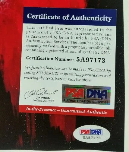 JULIO CESAR CHAVEZ Signed 16x20 Canvas Art Print AUTOGRAPH Mexico w/ PSA/DNA COA - Image 3 of 3