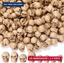 40 Pcs Mini Skulls Resin Skeleton Heads Halloween Bulk Decor