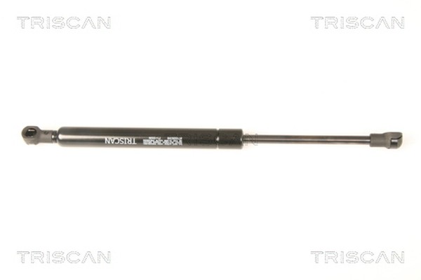 Triscan Gasfeder Heckscheibe 8710 29288 FüR VW Touareg 7LA 7L6 7L7 TDI FSI R50-image