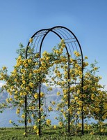 Rosenbogen Rankgitte Metall Rankhilfe Torbogen Garten Pergola Spalier Stabil