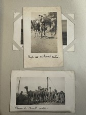 foto LIBIA AOI AFRICA ORIENTALE ITALIANA TRUPPE COLONIALI MEHARISTI LIBIA + sbar