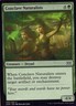 Double Masters #160 Conclave Naturalists