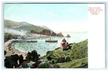 Vintage Bay at Avalon Catalina Postcard Showing Departure of Cabrillo