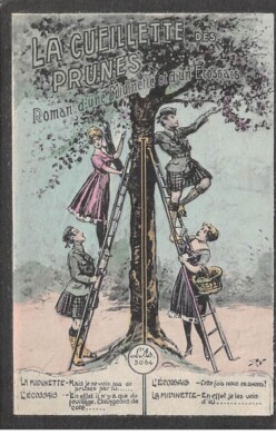 Illustrator - n°66843 - La cueillette des Plunes Roman: d'une Midinette et