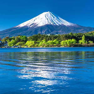 mr.japan2021 | eBay Stores