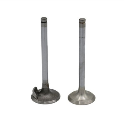 Ventilsatz (Einlass + Auslass): Kompatibel Mit RUGGERINI / CRD 100 / CRD 100 / R