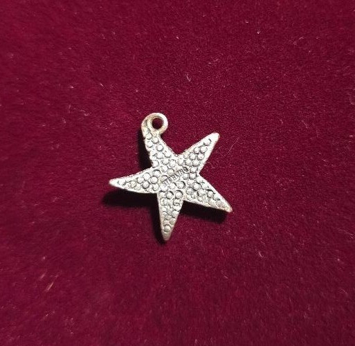 Sterling Silver 3D Solid Oxidized Starfish Charm … - image 2