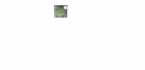 Steffi Graf Signed Wilson US Open Tennis Ball new 1997 Arthur Ashe Fan Case - Picture 3 of 7