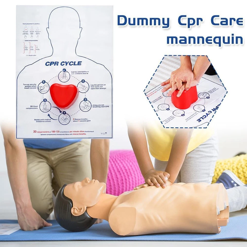 First Aid Training Rescue Teaching Tool Dummy Cpr Nursing Mod... Manikin I5O9