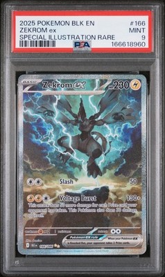 k*。様 ゼクロム ex 2025 POKEMON psa9 2025 POKEMON BLK EN-BLACK BOLT SPECIAL ILLUSTRATION RARE #166
