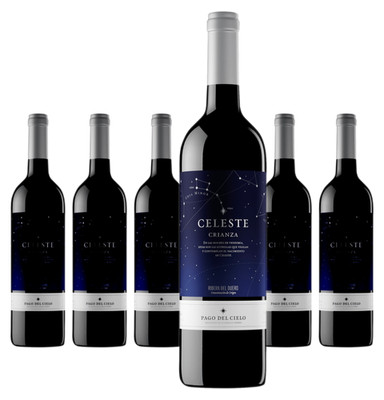 6 x Miguel Torres Pago del Cielo Celeste Crianza   2022