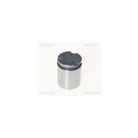 Kolben, Bremssattel Triscan 8170 234102 FüR