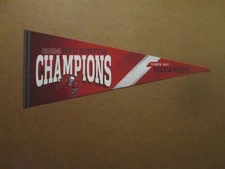 NFL Tampa Bay Buccaneers Circa 2024 NFC South Champions Team Logo Pennant