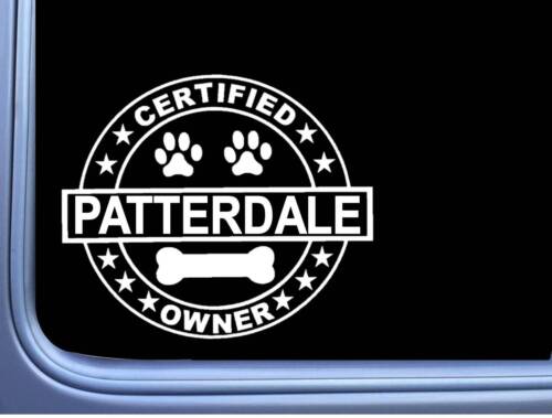 Certified Patterdale Terrier L340 Dog Sticker 6" decal - Afbeelding 1 van 1