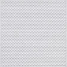 # F02 White Matte 2' x 2' PVC Decorative Border Ceiling Tile ­ Glue Up / Grid