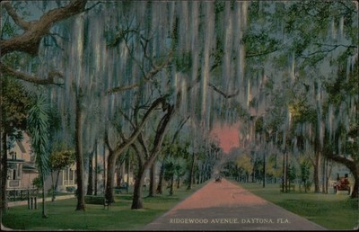 Postcard 1919 postcard, Ridgewood Avenue, Daytona, Florida.