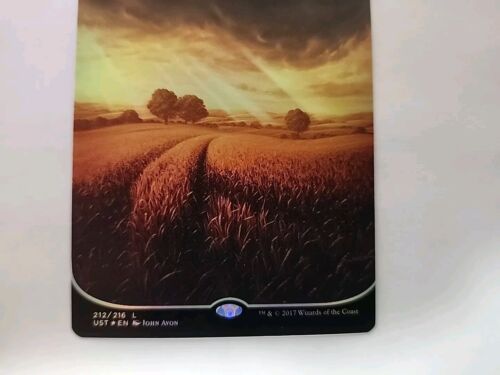 MTG Plains - FOIL instabile quasi nuovo - Magic The Gathering - Foto 3 di 6