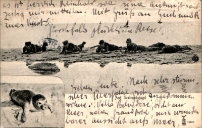AK GRUSS AUS WESTERLAND SYLT NORDFRIESLAND SEEHUNDSJAGD 2 BILD 1905