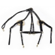 John Whitaker Valencia 5 Point Breastplate
