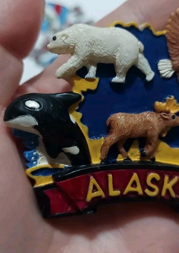 Picture 4 of 8