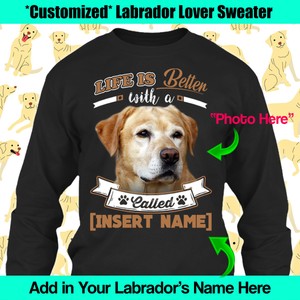 labrador dog sweater