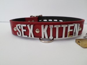 collar that says kitten