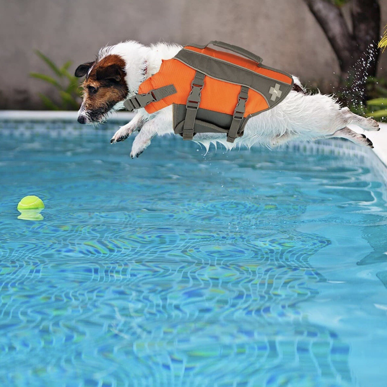 Top Paw Neoprene Dog Life Jacket Vest Size Small 1530 Pounds Orange eBay